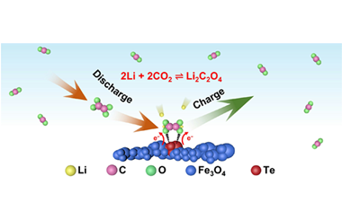 Te-doped Fe3O4 flower enabling low overpotential cycling of Li−CO2 batteries at high current density 2024.100253